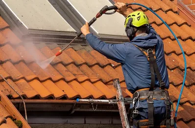 Démoussage et hydrofuge de toiture à Arrènes